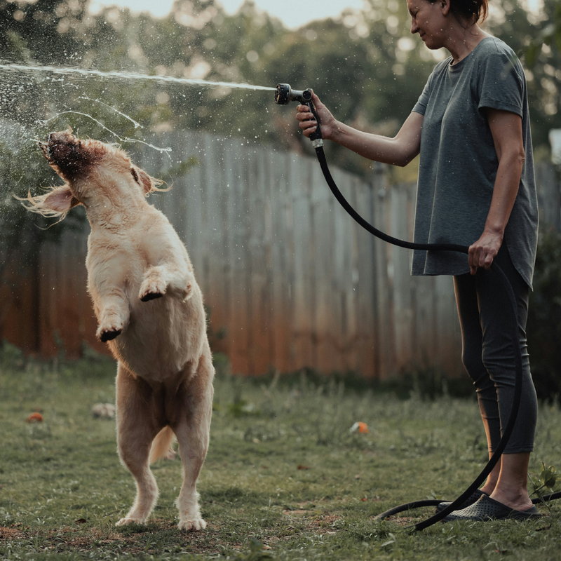 Tangle Free Garden Hose